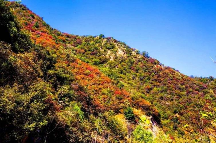 郑州周边自驾游玩推荐景点,郑州周边自驾游一日游带孩子