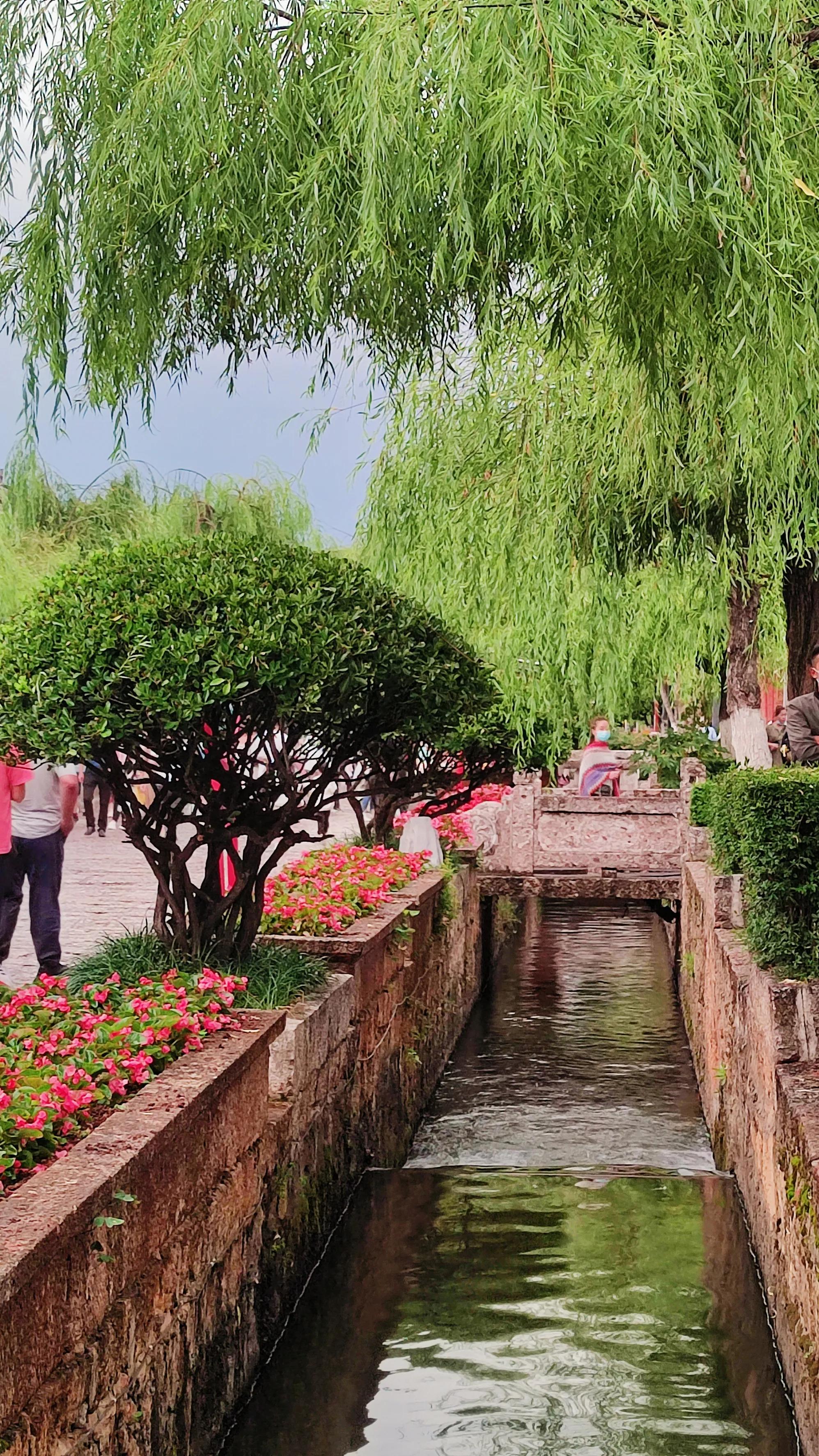 大理丽江旅行记,昆明大理丽江自助游旅游攻略