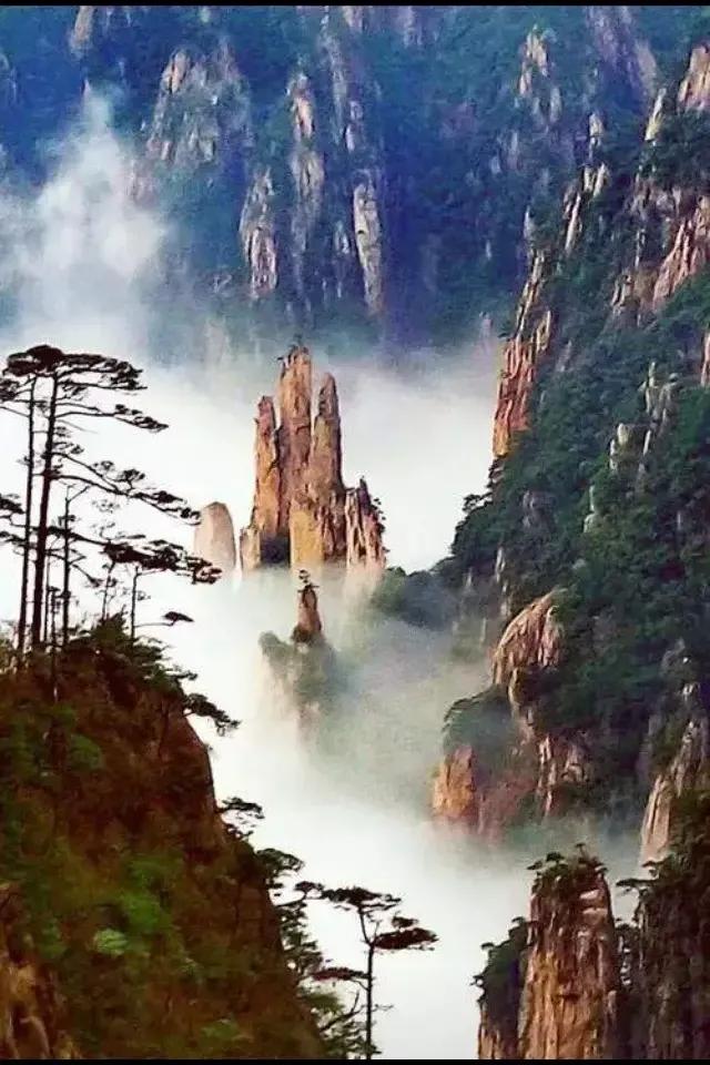 男博士与女导师的柏拉图之恋——回忆我的大学本科生活