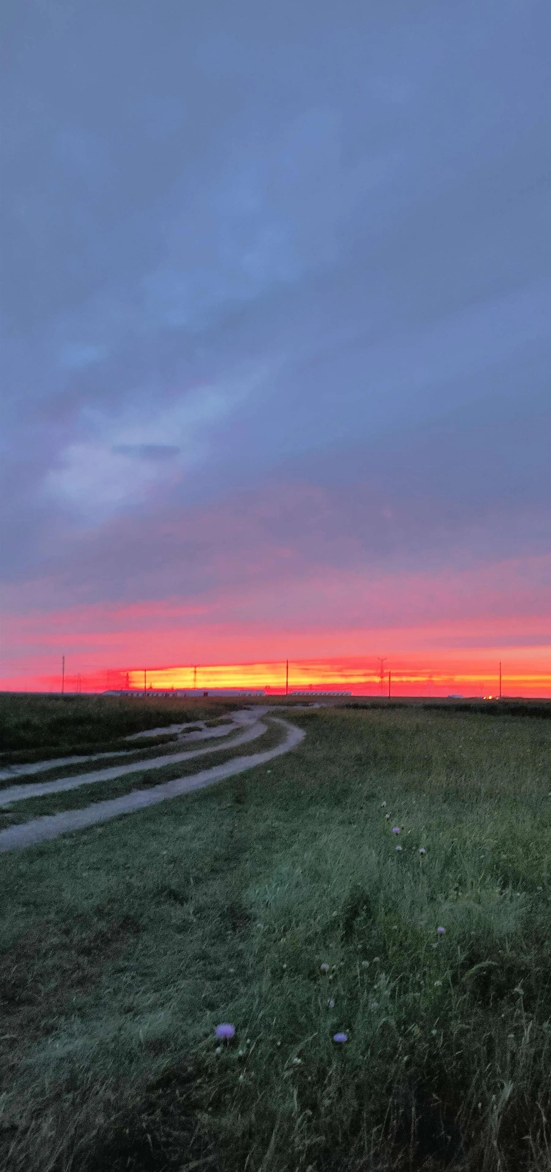 呼伦贝尔六日游自由行攻略 (呼伦贝尔八日游旅游攻略)