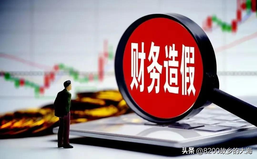 爆雷！宏图高科仅虚减负债一项连续5年涉案480亿，令人咋舌