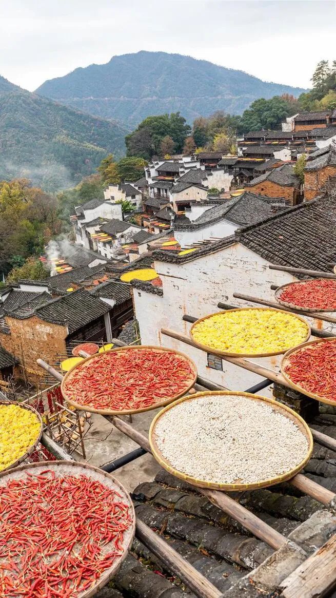 爱戴加厚内衣无痕无钢圈,爱戴最新内衣发布会