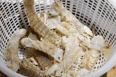 秦皇岛开海海鲜图片,开海后的生猛海鲜已抵达秦皇岛