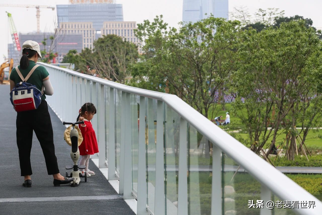 打卡公园东莞游玩攻略,东莞森林公园攻略