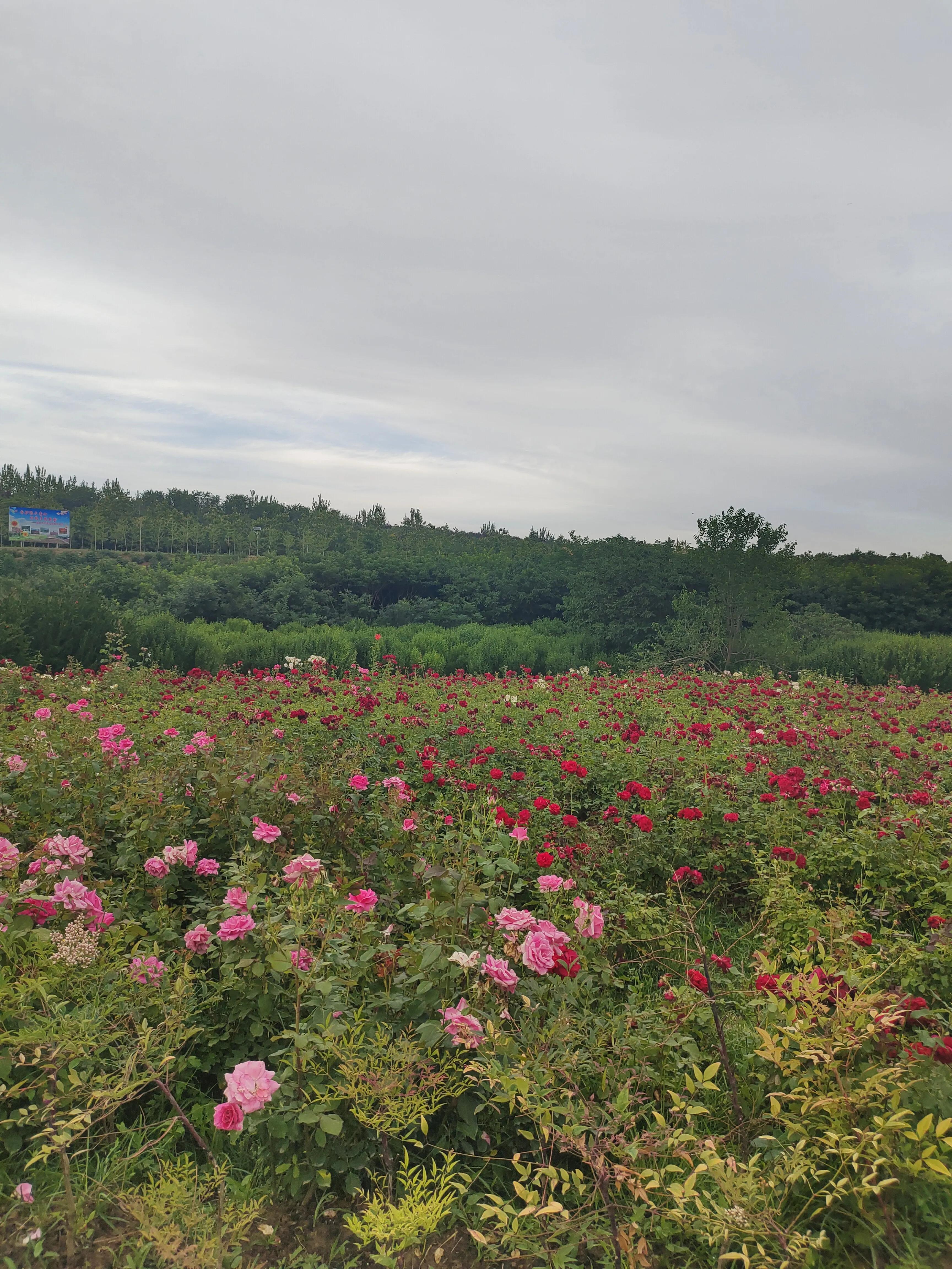 女人为什么不喜欢型男,女人如果不喜欢你会有哪些表现
