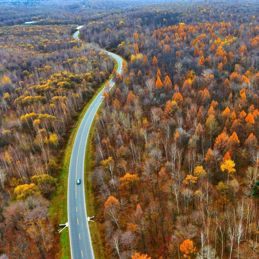 长白山的秋季,长白山夏天和秋天的区别