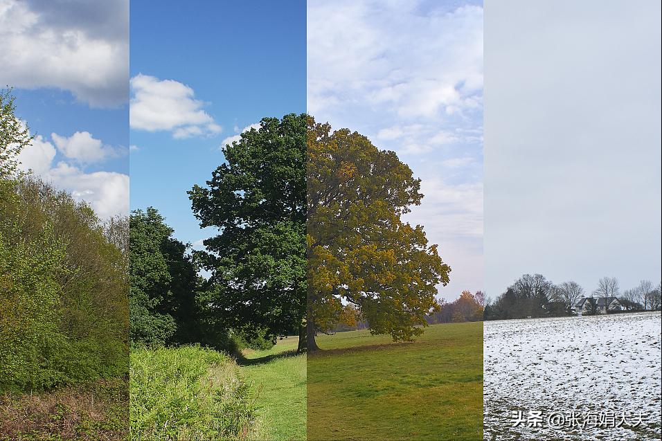 宫寒痛经气血不足手脚冰凉食补,宫寒治疗小视频