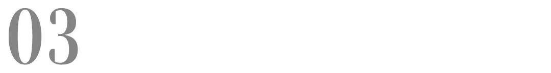 山东路斯宠物食品股份有限公司,北交所食品股