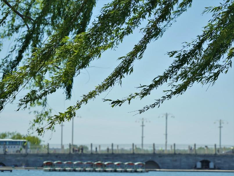 过敏季来袭！不怕，校园花粉地图帮你躲避