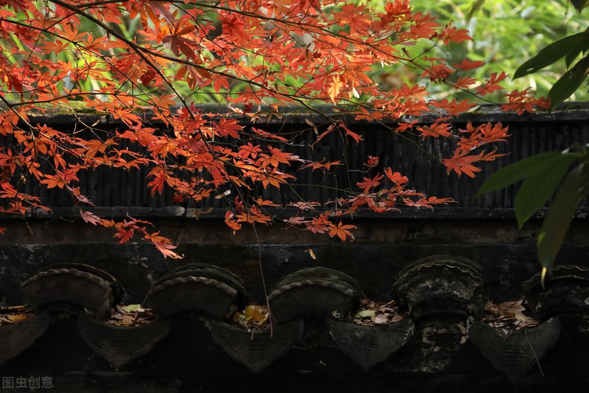 秋日上海好去处,上海秋日风景