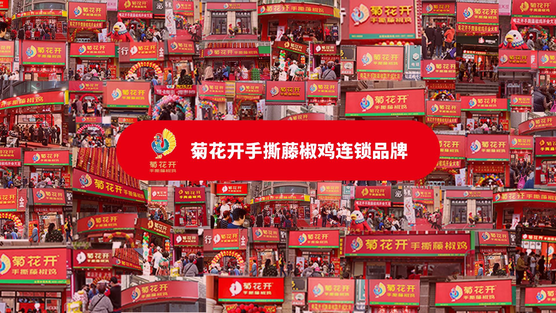 鹿邑菊花厂,鹿邑菊花种植户有哪些