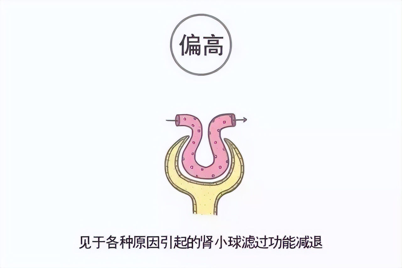 看懂体检报告单箭头的意思,体检报告单上米符号是什么意思