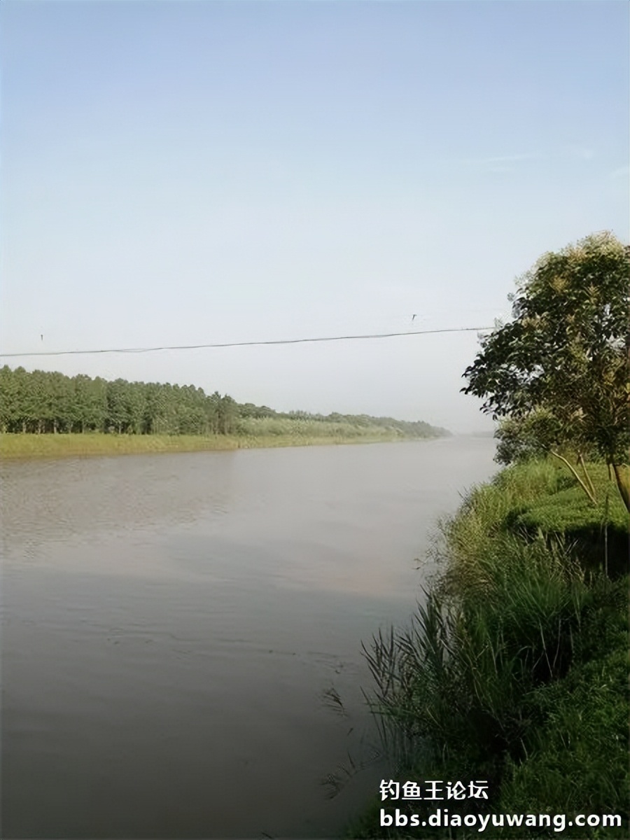 崇明北横引河水深,北横引河能钓鱼吗