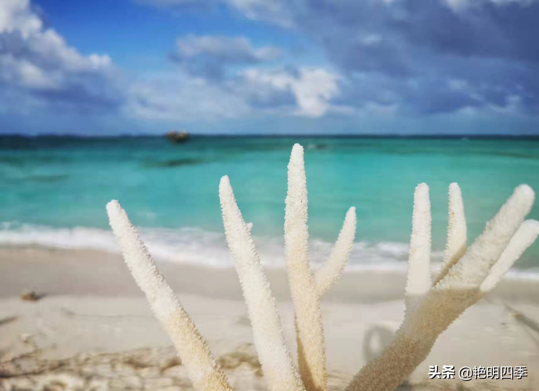 西沙群岛南海之梦游轮,西沙群岛南海之梦游轮视频