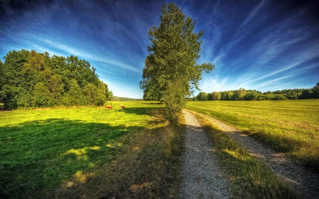 四年级下册的我的自画像作文范文,我的自画像作文四年级优秀范文