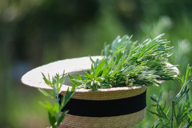 端午节这天要吃什么,端午节要注意五件事