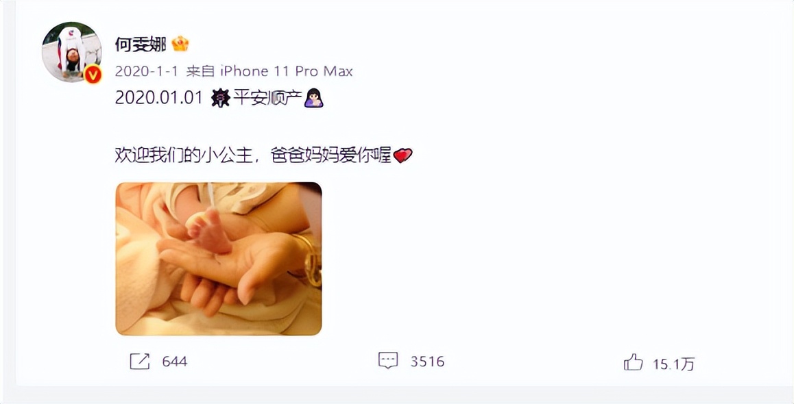 蹦床公主何雯娜和陈一冰,蹦床公主何雯娜夺冠