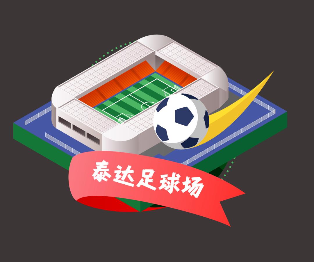 泰达2019世界杯,泰达世界杯