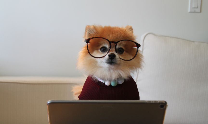 轻松网购省钱技巧,新手笔记本电脑使用指南