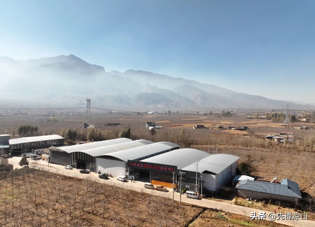 【县市动态】盐源县：“三力齐发”激活村集体经济增收“源动力”