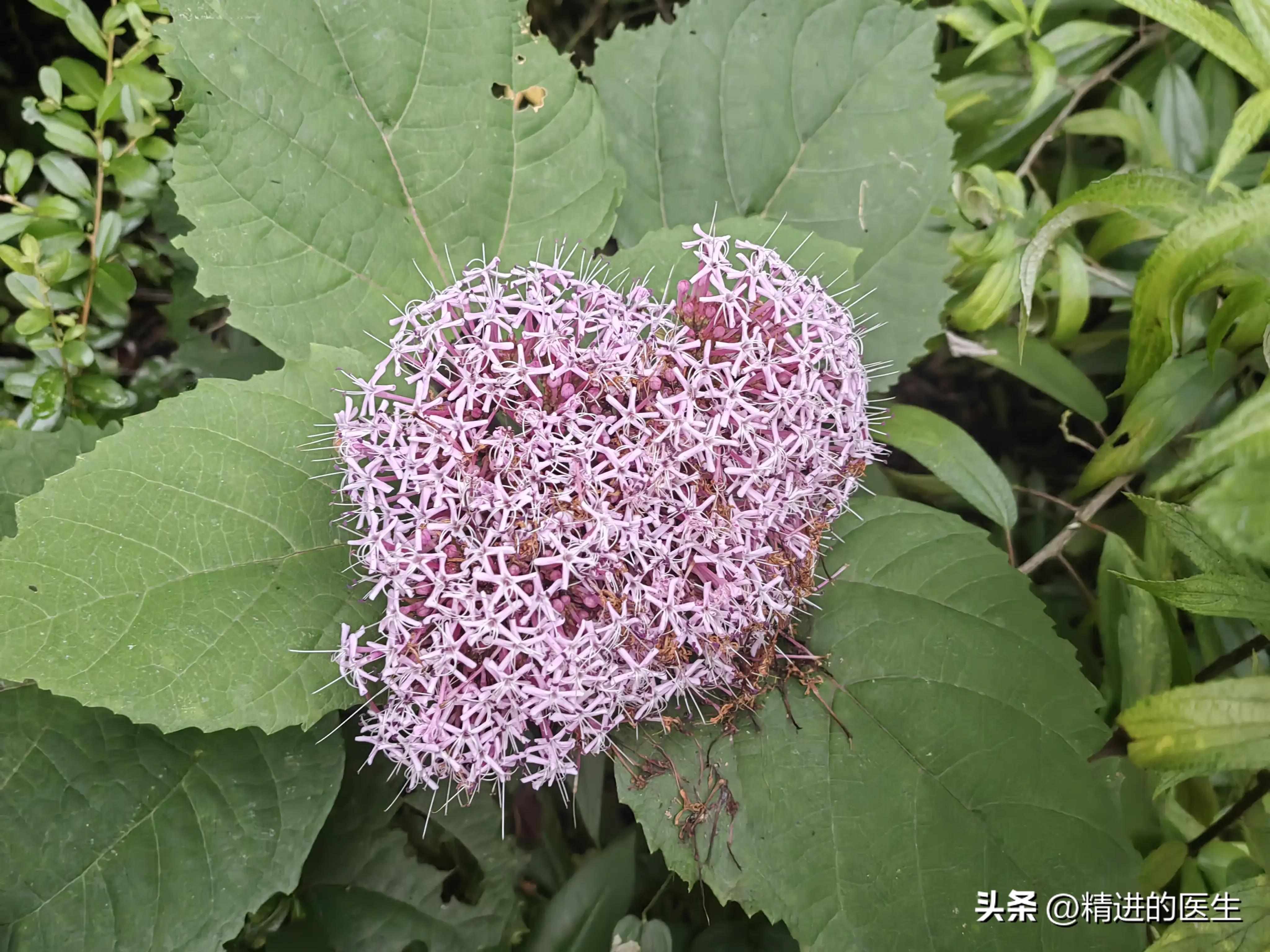 降薪热潮,降薪的影响会有多久