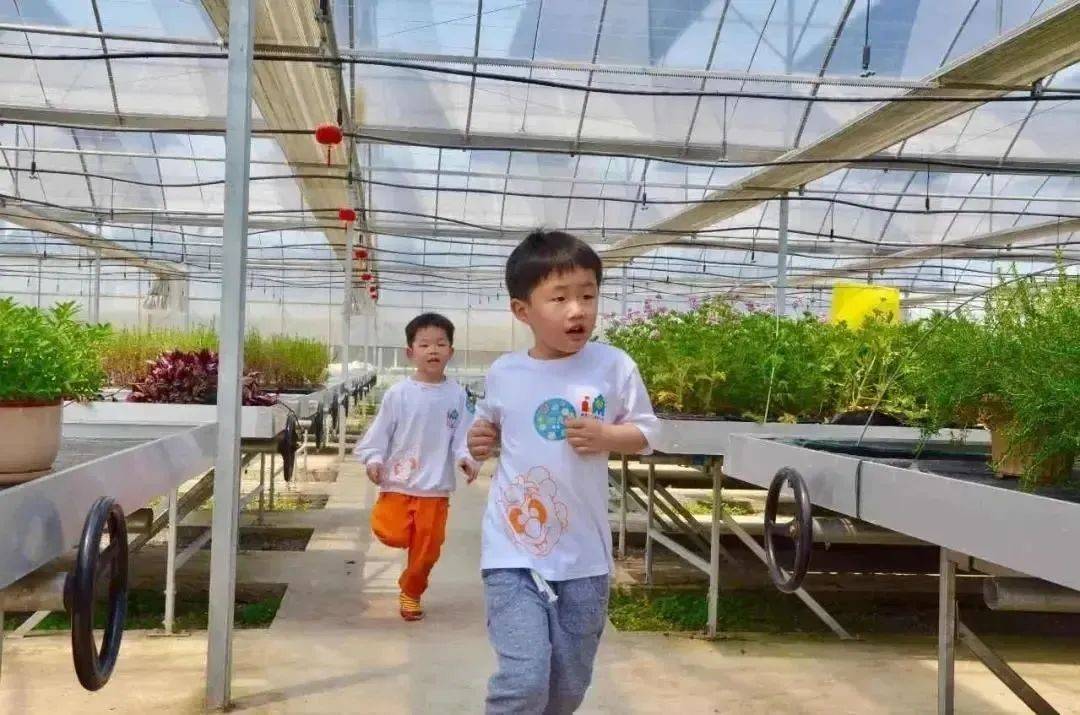 张家港农场网红打卡,周边农场网红打卡点创意