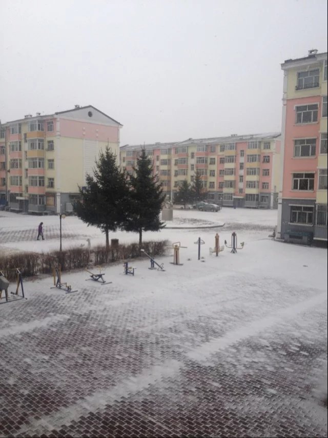 林区往事最新视频,2012年伊春林区往事图片