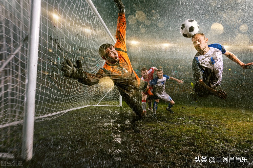 有言有味说单词,有言有味说单词读后感