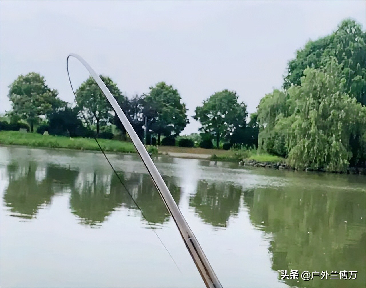 哪一款5米4并继竿不那么重头,并继竿1000内选择国产还是进口