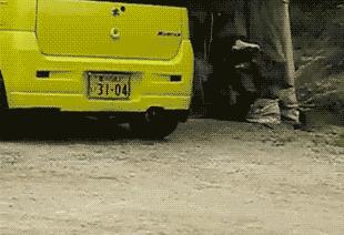 被鸡冠蛇咬了该如何自救,宠物被蛇咬了打什么针