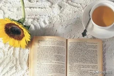 读书日文案有趣朋友圈,适合读书日的朋友圈文案