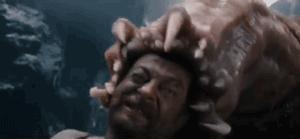 老外用虫子接吻器狂亲蚯蚓，连苍蝇路过都要被嘬两口