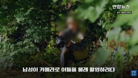 把女人比作奶牛？韩国牛奶公司广告被批，然而已经不是第一次了