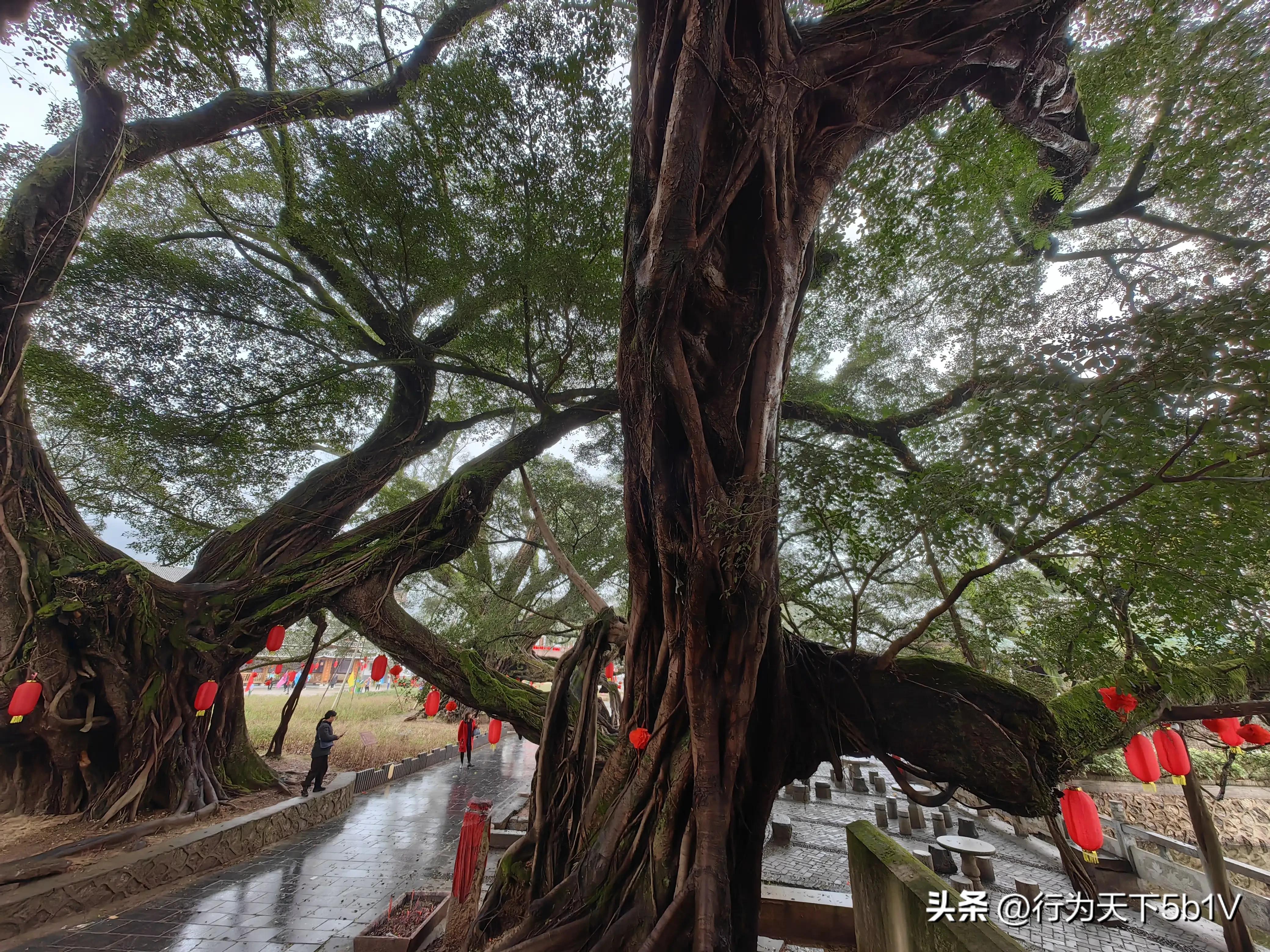 【平乐十里画廊鬼斧神工伟人石像】穿越唐*平宋**乐榕津千年古镇！