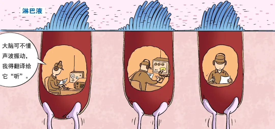 漫绘怎么学,手绘漫画耳朵教程