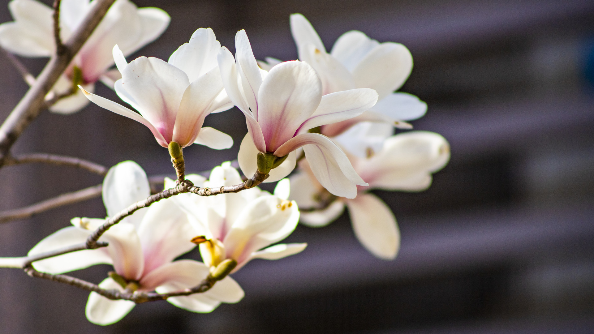 做人要闷声发大财,做人要狠要学会闷声发大财