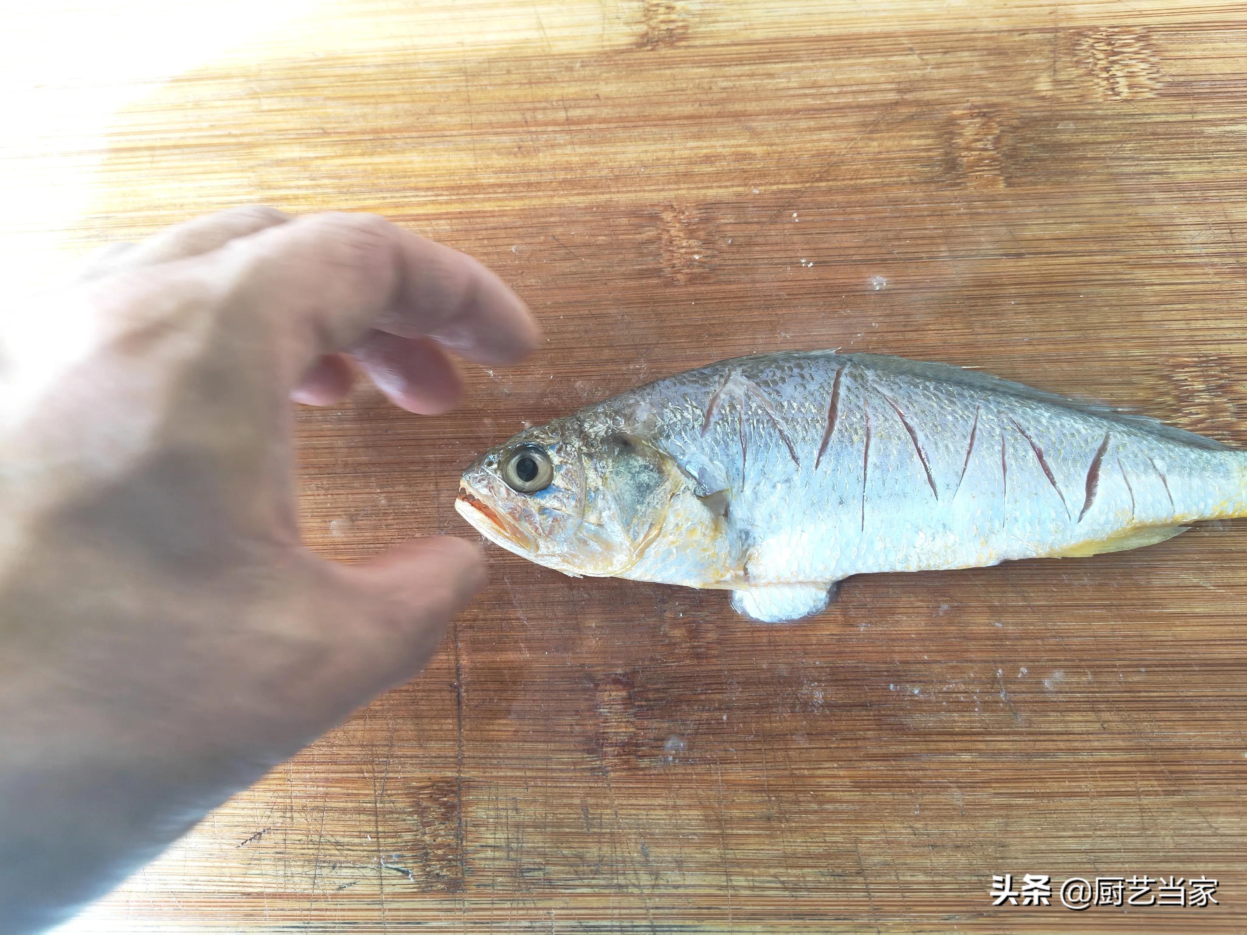 剞花刀教学,清蒸鱼改花刀技法简单