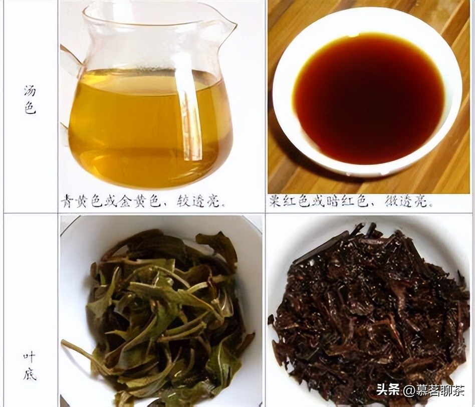 云南普洱茶生茶和熟茶的区别,云南普洱茶生茶熟茶都是哪个好喝