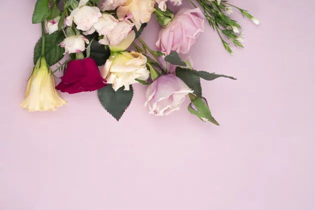 表白文案520字,520活动文案怎么写吸引人