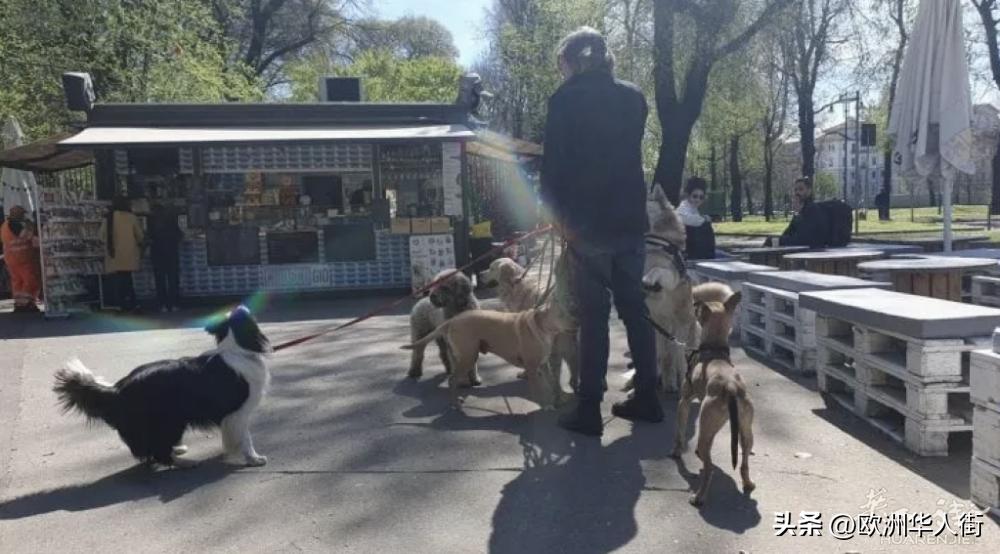 在意大利当保姆要学什么,在意大利工作有多牛