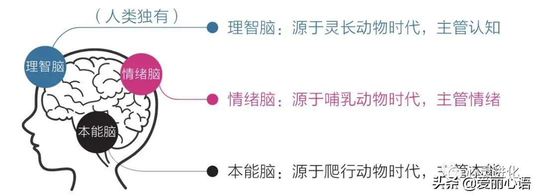心累的状态何时会恢复,感觉心累是一个不正常的状态