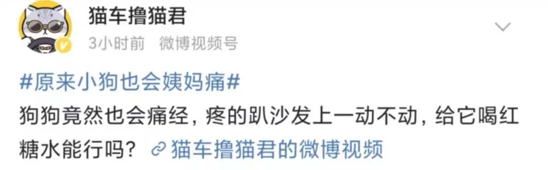 狗狗会来大姨妈吗？