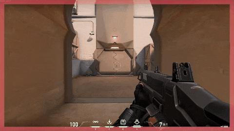 人类玩家与闪光弹斗争,人类闪光弹