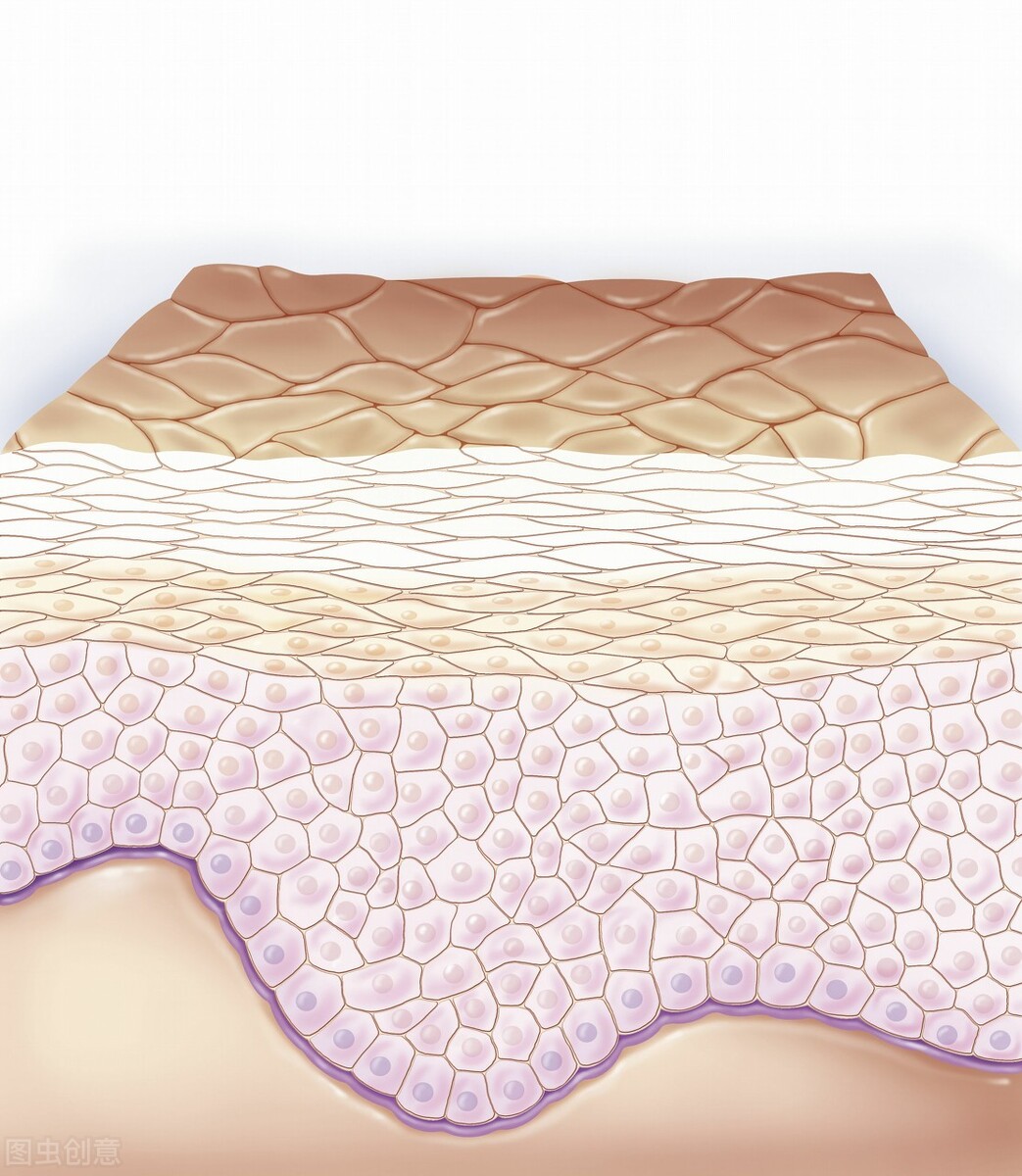 精华液在护肤步骤哪一步使用,护肤精华液的正确使用方法步骤