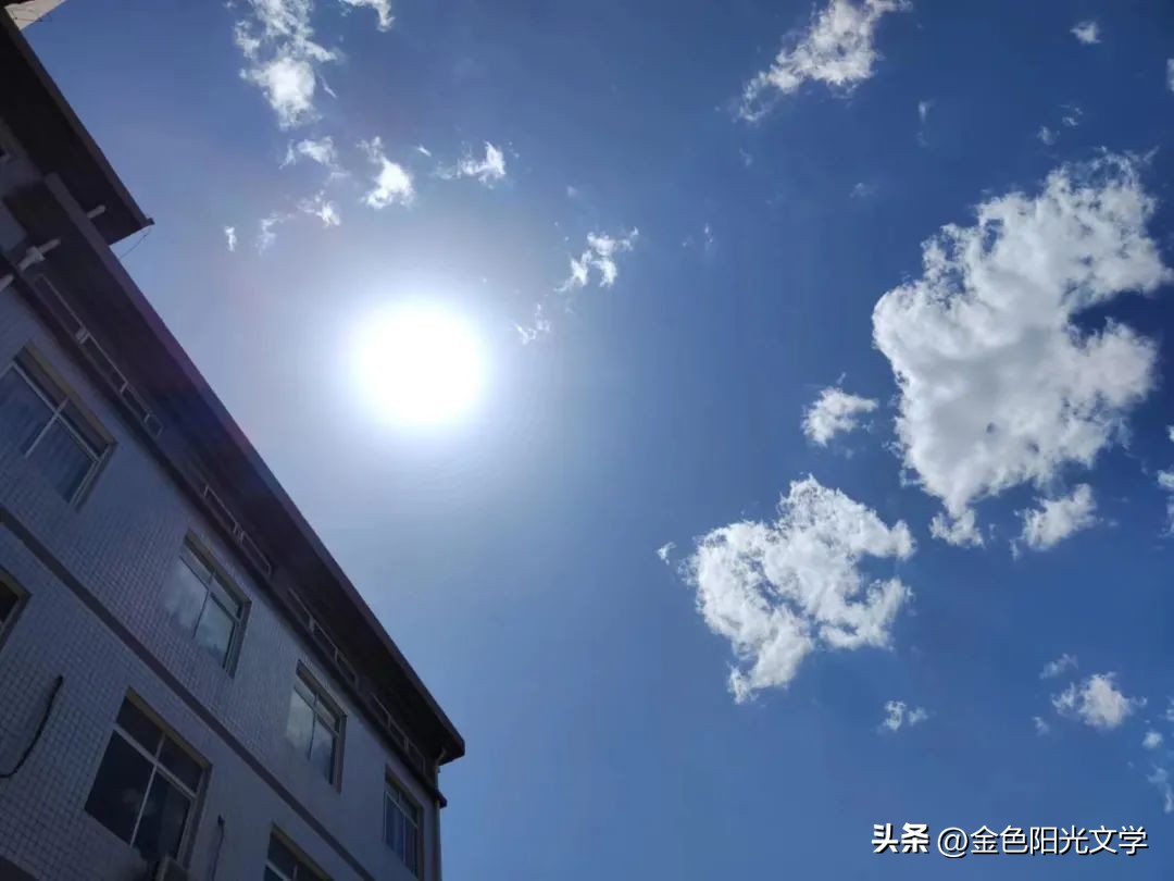 网课系列篇（你们是最美的那束光等）