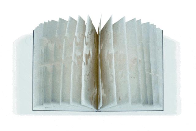 巨川,你好!|艺术栗子