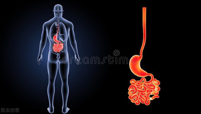 调理脾胃四味中药,调脾胃最好的一味中药