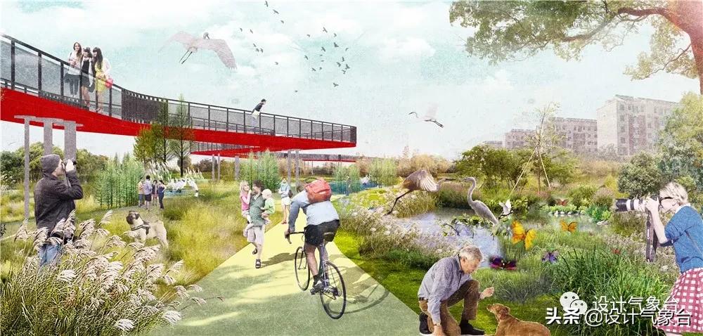 湿地景观效果图,big惜败完整视频