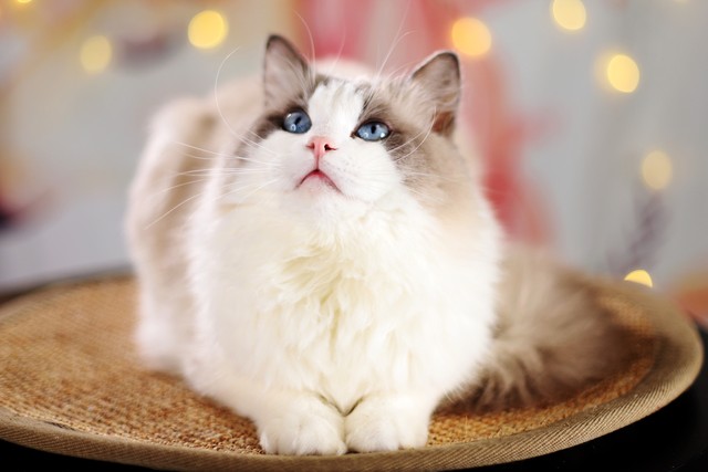 图文阅读量和推荐量有什么区别,文章阅读量和后台的阅读量不一样