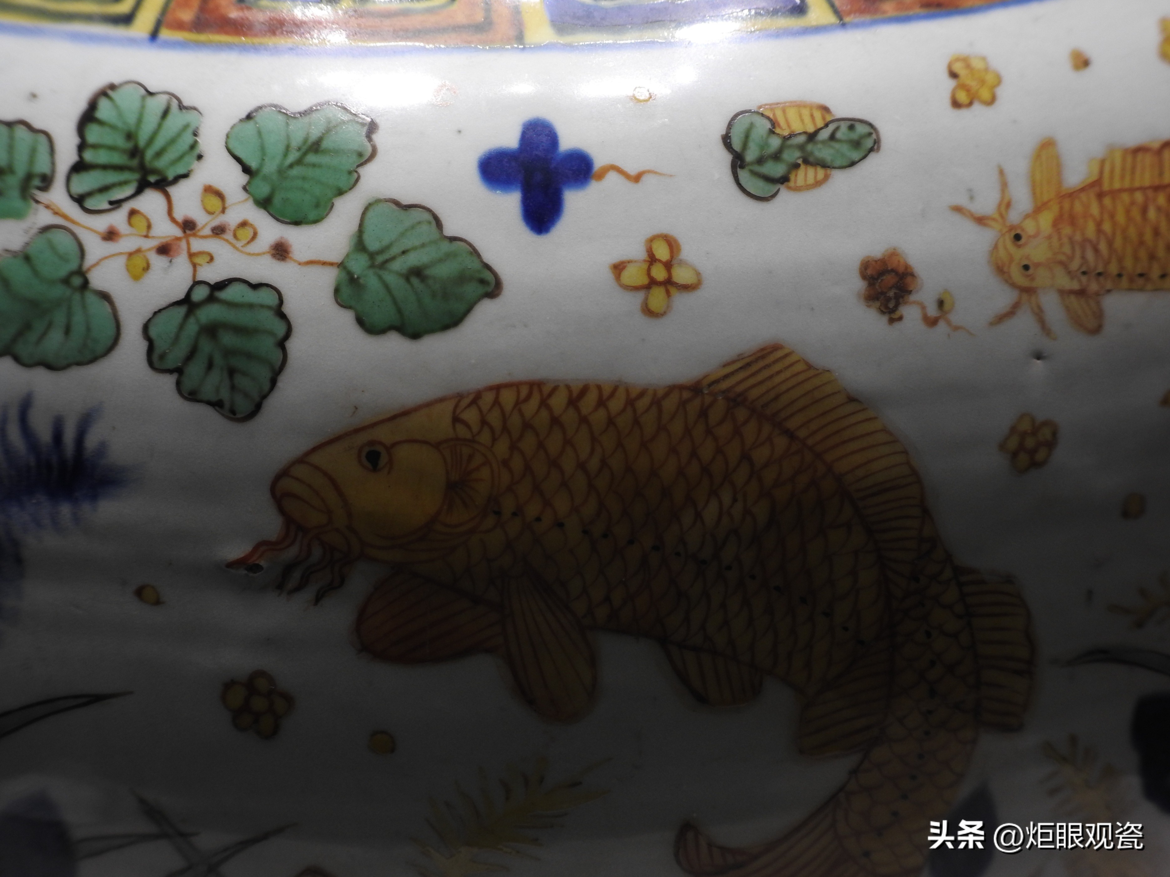 鱼乐其中——细观嘉靖五彩鱼藻纹罐的黄上红、翡翠绿、回石青